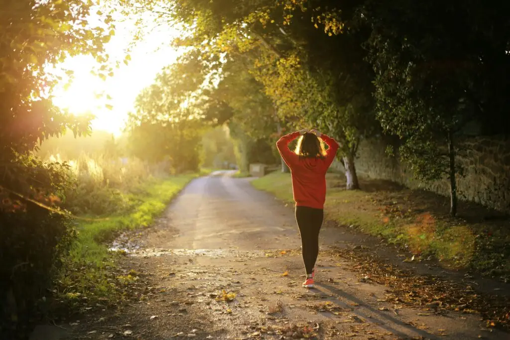 A person in a red jumper and black trousers walks alone on a tree-lined country road at sunset, with sunlight streaming through the leaves and fallen leaves scattered on the ground.